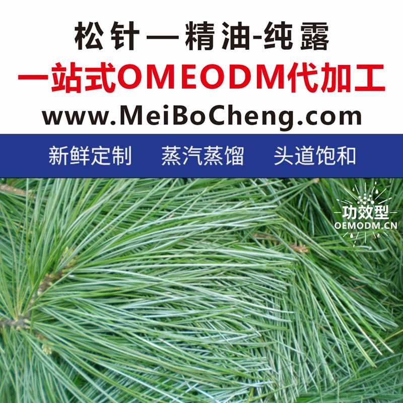 <strong>松针</strong>