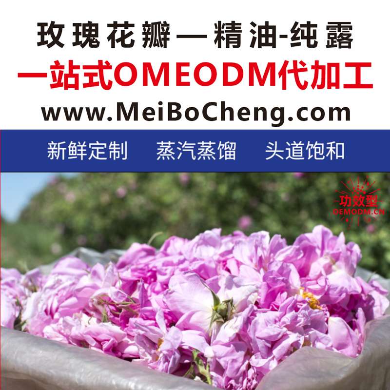 <strong>玫瑰</strong>