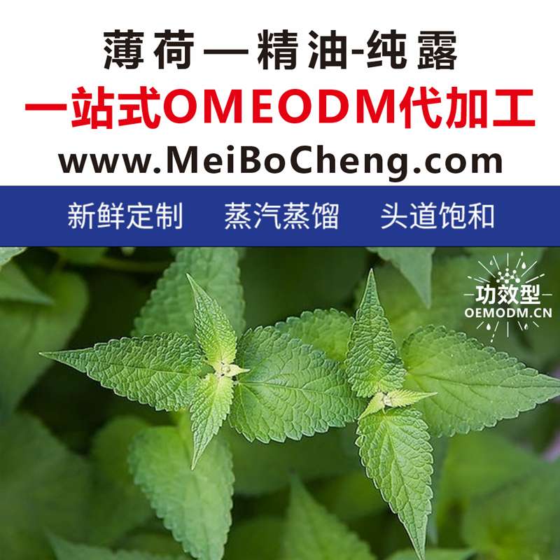 <strong>薄荷</strong>